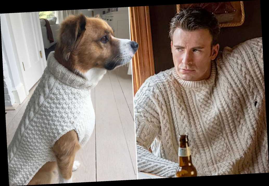 chris hemsworth sweater