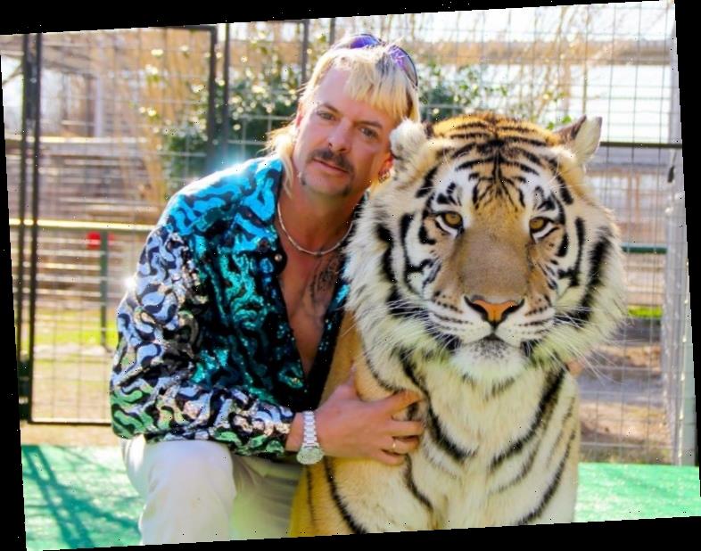 tiger king shiny shirt