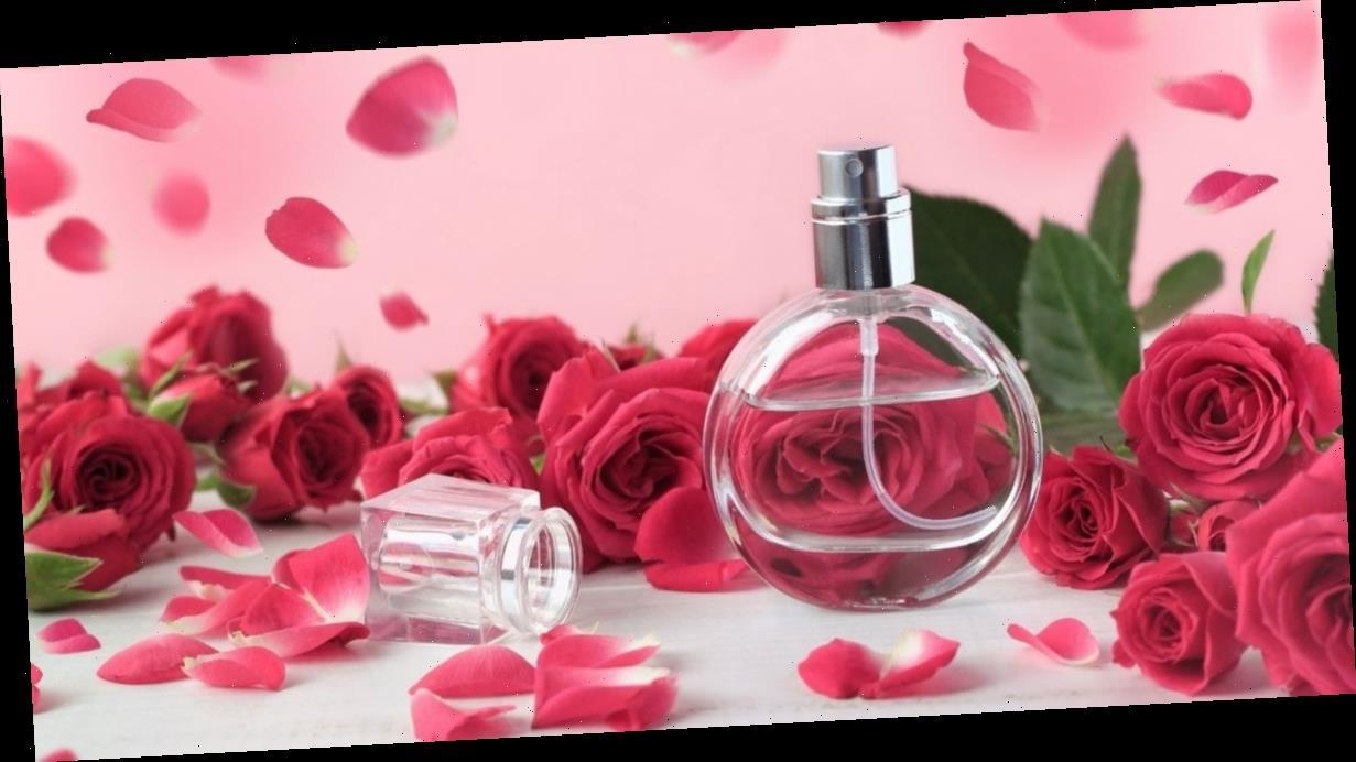 jimmy choo floral superdrug